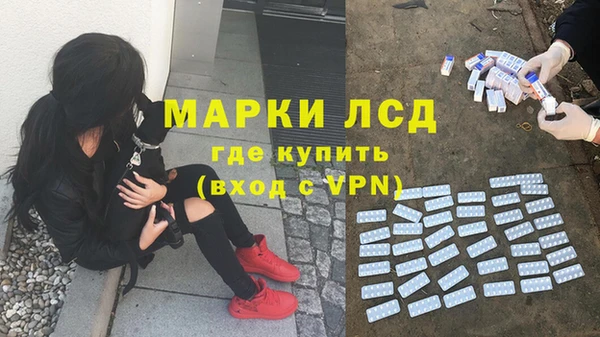 молекула духа Горняк