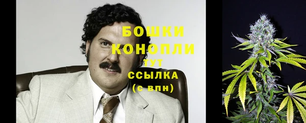 крисы Горно-Алтайск