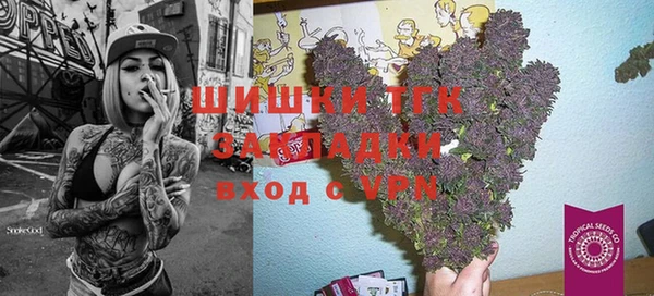 молекула духа Горняк