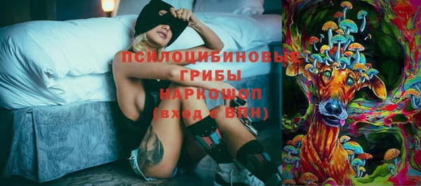 молекула духа Горняк