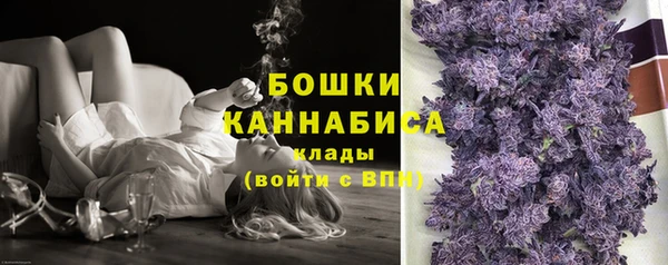 молекула духа Горняк