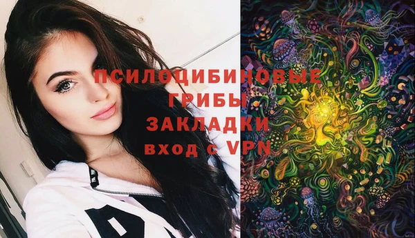 молекула духа Горняк