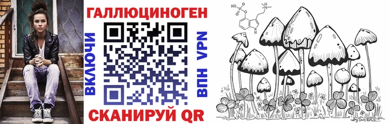 hydra зеркало  Приволжский  Псилоцибиновые грибы Cubensis 